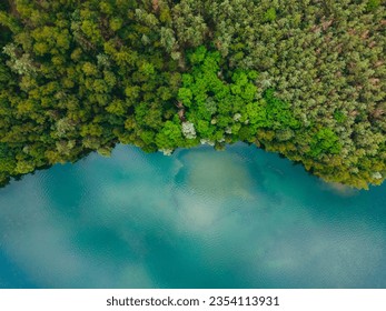 Aerial drone top down view of lake among forest in summer day.  - Powered by Shutterstock