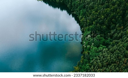 Aerial drone top down view of lake among forest, Nordrhein westfalen, Germany in summer day.