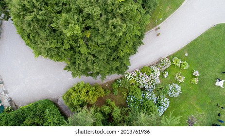 Aerial Drone Top View Of An Elegant Garden