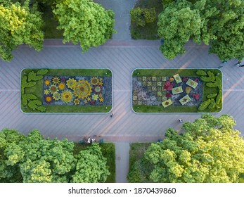 Aerial Drone Top View. Flower Bed In The Park.