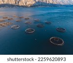 Aerial drone top view of sea fish farm cages and fishing nets, farming dorado, sea bream and sea bass, feeding the fish a forage, with marine landscape and mountains in the background, Adriatic sea