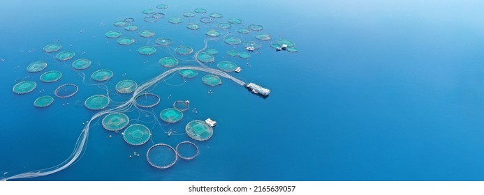 Aerial drone ultra wide panoramic photo with copy space of sea bass and sea bream fishery or fish farming unit in Mediterranean calm deep blue sea