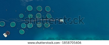Aerial drone ultra wide panoramic photo of large fish farming unit of sea bass and sea bream in growing cages in calm deep waters of Galaxidi area, Greece
