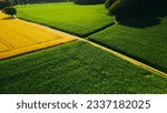 Aerial drone view of agricultural fields of wheat , corn and other in sunny summer day. Countryside landscape Germany
