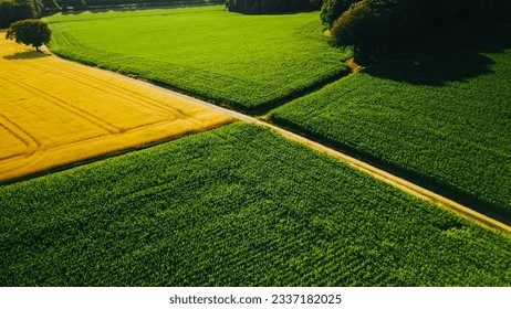 Aerial drone view of agricultural fields of wheat , corn and other in sunny summer day. Countryside landscape Germany - Powered by Shutterstock