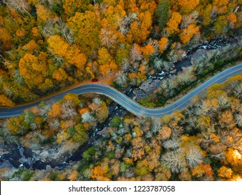 Aerial Drone view of Autumn / fall in the Blue ridge of the Appalachian Mountains  near Asheville, North Carolina. Vibrant red, yellow, orange leaf foliage colors on the curve of mountain road side. 