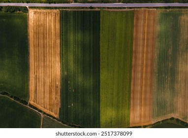 Aerial Drone View of Autumn Forest with Golden Foliage - Powered by Shutterstock