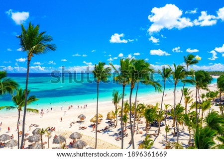 Aerial drone view of beautiful atlantic tropical beach with palms, straw umbrellas and boats. Bavaro, Punta Cana, Dominican Republic. Vacation background