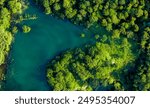 Aerial Drone view of Beautiful natural wild river surrounded by tropical green forest trees on a sunny day background 