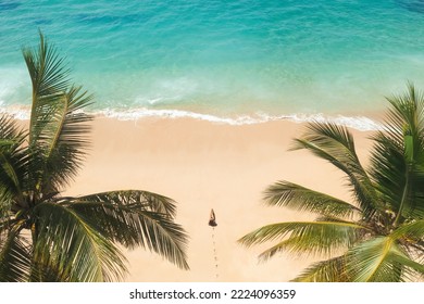 Aerial drone view beautiful tropical beach with white sand palm trees and clear water and woman model in black bikini. Perfect shore with sand and coco palms. Travel and resort leisure panorama - Powered by Shutterstock