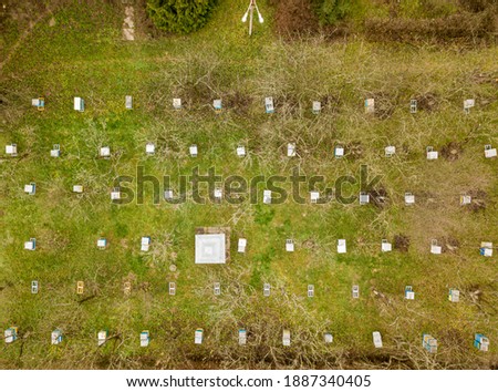 Similar – Image, Stock Photo Beehive from above with many bees