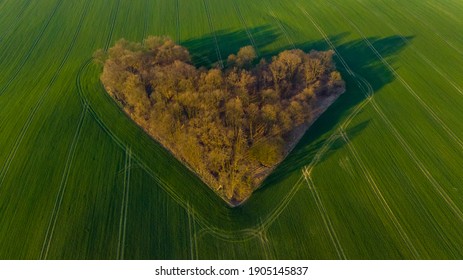 Aerial drone view to copse of love in heart shape at sunrise - Shutterstock ID 1905145837