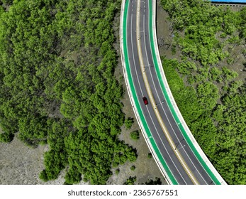 Aerial drone view curve road with green mangrove forest and mudflat beach. Mangroves capture CO2. Natural carbon sink. Blue carbon ecosystems. Mangroves absorb carbon dioxide. Net zero emissions.