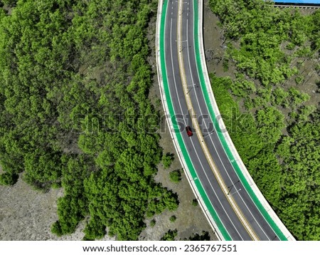 Aerial drone view curve road with green mangrove forest and mudflat beach. Mangroves capture CO2. Natural carbon sink. Blue carbon ecosystems. Mangroves absorb carbon dioxide. Net zero emissions.