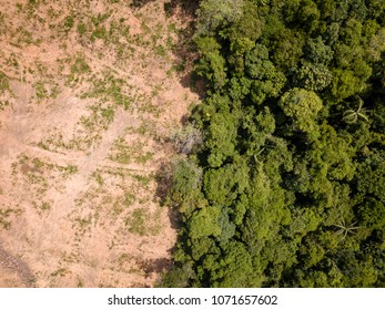 Aerial Drone View Of Deforestation Of A Tropical Rain Forest To Make Way For Palm Oil And Construction