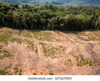 Aerial Drone View Of Deforestation Of A Tropical Rain Forest To Make Way For Palm Oil And Construction