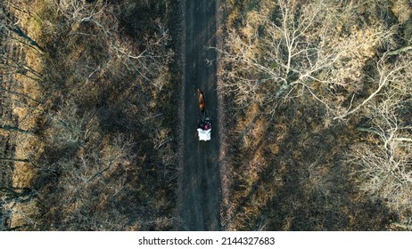 Aerial Drone View Flight Over horse-drawn cart with people and white bags that rides along dirt road between trees on sunny day. Horse-drawn transport, transportation. Old authentic rural countryside