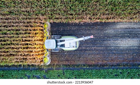 Aerial Drone View Flight Over Combine Harvester that Reaps Dry Corn in Field on an Autumn Day in the evening or morning. Top View of Harvester Machines Working in Cornfield. Harvesting, Agrarian and - Shutterstock ID 2213936047