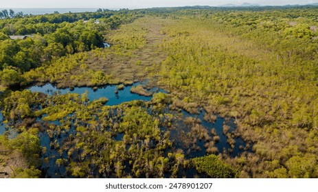 Aerial drone view of greenery rural area with swamp scenery at Pantai Jambu Bongkok, Marang, Terengganu, Malaysia - Powered by Shutterstock