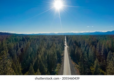 Aerial, Drone View Of A Long, Winding Road In The Middle Of The Pine Tree Forest In California United States