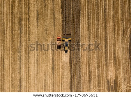 Similar – Combine harvester harvests grain field in the evening light from the air