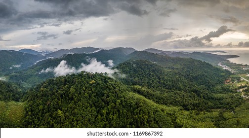 Aerial Drone View Of Mist And Low Cloud Over A Dense Tropical Rain Forest