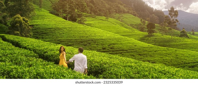 Aerial Drone View of nature's background tea plantations landscape in the mountains with a romantic walking couple of travelers. Famous touristic place in Sri Lanka