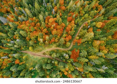 Aerial drone view over autumn forest. Colorful trees in the wood. Autumn forest background - Powered by Shutterstock