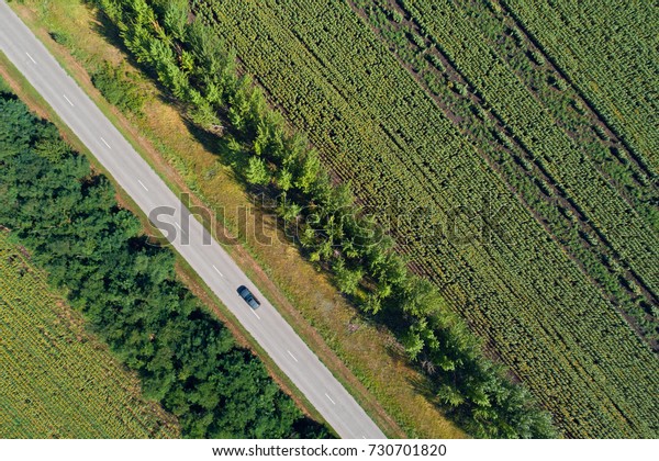Aerial drone view of stripped sunflower fields\
divided with woods and a\
highway