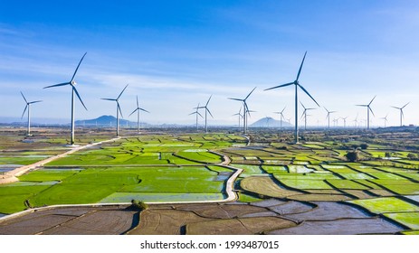 Aerial Drone View Of Windmill Energy Farm - Landscape With Turbine Green Energy Production -  Wind Turbines Generating Electricity On Green Rice Field