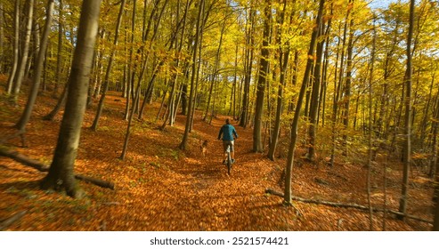 AERIAL: Female mountain biker pedals through an autumn forest, with a joyful dog running alongside. Cyclist and her loyal canine companion are enjoying beautiful and colorful nature in autumn season. - Powered by Shutterstock