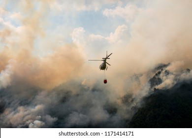 Aerial Firefighting With Helicopter On A Big Wildfire In A Pine Forest