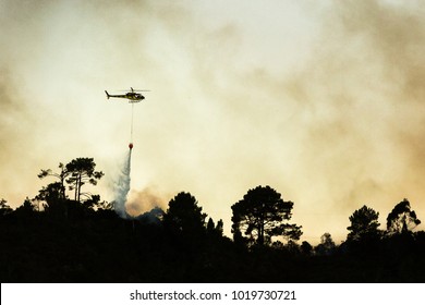 Aerial Firefighting In New Zealand