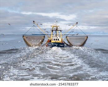 Aerial of fishing ship, boat trawling nets with gulls at Wadden sea - Powered by Shutterstock - Get 15% off with code: PIKWIZARD15