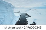 Aerial flight in glacier canyon frozen ocean bay in Antarctica. Winter landscape wild nature. Glacier giant ice wall towering above rocky ocean coast. Polar environment. Travel beautiful South Pole