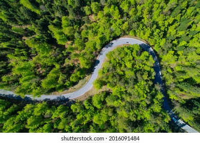 AERIAL: Flying above a switchback road running across an idyllic green forest. Tourists on leisurely road trip in the Slovenian woods drive along an empty road with sharp turns. Scenic forest route.