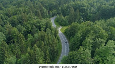 AERIAL: Flying Behind A Single Black Car Driving Down The Scenic Country Road Running Through The Beautiful Forest In Slovenia. Cinematic Shot Of Tourists On Road Trip In The Picturesque Countryside.