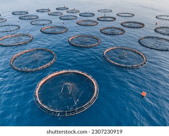 Aerial footage of cages fish farm offshore sea