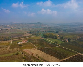 Aerial footage view of a yellow autumn vineyard landscape - Shutterstock ID 1202794246