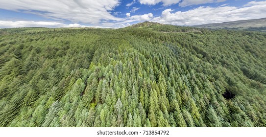 Aerial Of A Forest In Argyll, Scotland