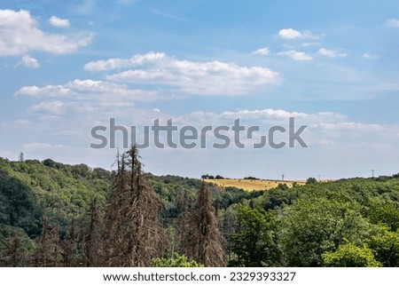 Aerial forest landscape of treetops in nature reserve Naturwanderpark Delux, cultivated fields in background, yellow grass, green leafy trees and some dry ones, sunny summer day in Utscheid, Germany