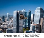 Aerial Frankfurt Am Main Skyline Roemerberg Panoramaluftbild Bussard Adler Wolkenkratzer ohne Markenzeichen