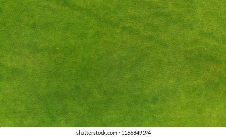 Aerial. Green Grass Texture Background.