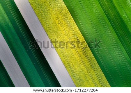Aerial image of agricultural field with different cultures and colors in geometric shape