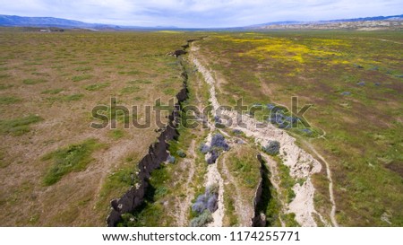 Aerial image of Carrizo Plains in California during the super bloom. 