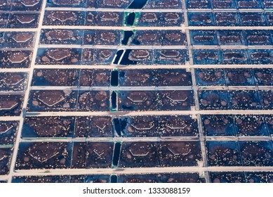 Aerial Image Of Cattle Feedlot, Feed Farm, Alberta, Canada