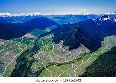 Aerial Image Of Clearcut Logging On Vancouver, Island, BC, Canada