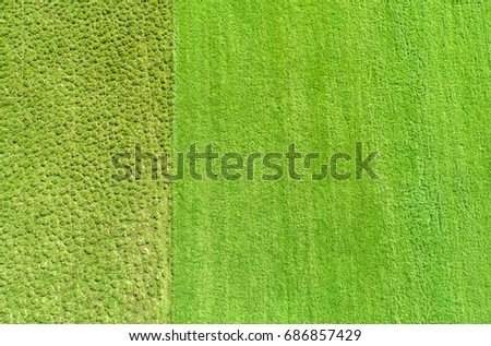 Aerial image - Farmers field and uncultivated land seen from high above