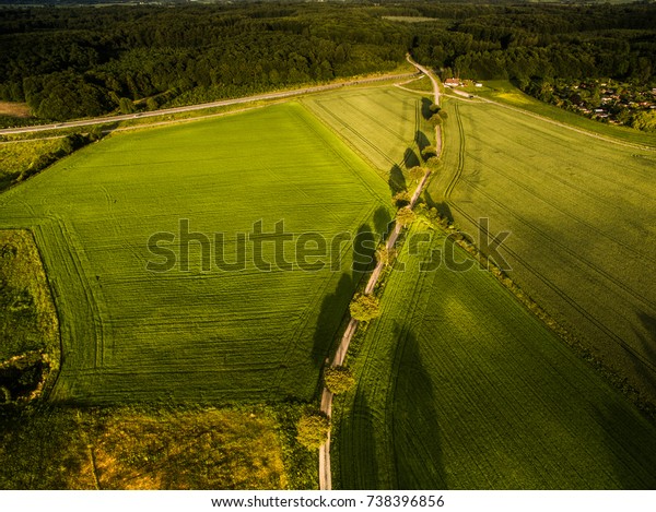 Aerial image\
of a long road with trees on each\
side