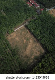 Aerial Image Of Rubber Plantation That Undergo Replanting Program In The Morning.